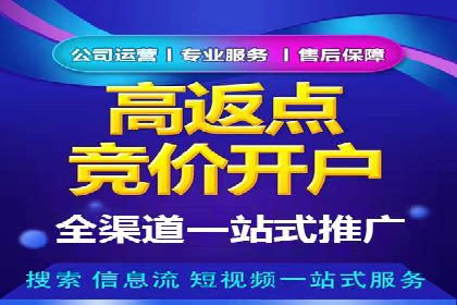 百度推广实战技巧：案例详解